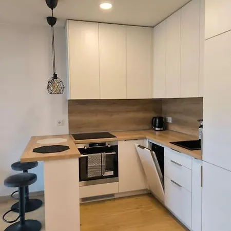 Modern Urban Retreat Free Private Parking & Balcony Vilnius