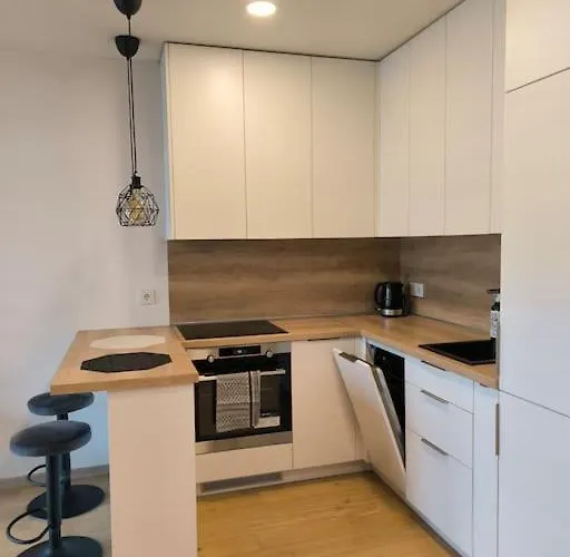 Modern Urban Retreat & Private Parking ヴィリニュス